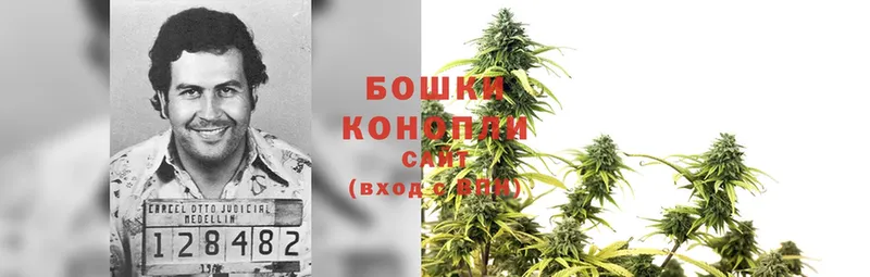 МАРИХУАНА Bruce Banner  продажа наркотиков  Волосово 